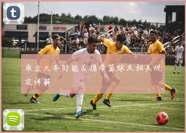 乘坐火车时能否携带篮球及相关规定详解