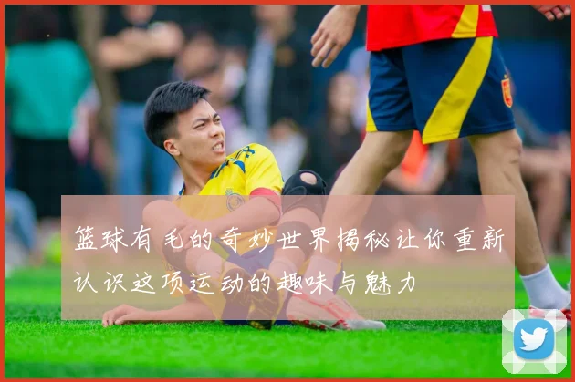 篮球有毛的奇妙世界揭秘让你重新认识这项运动的趣味与魅力