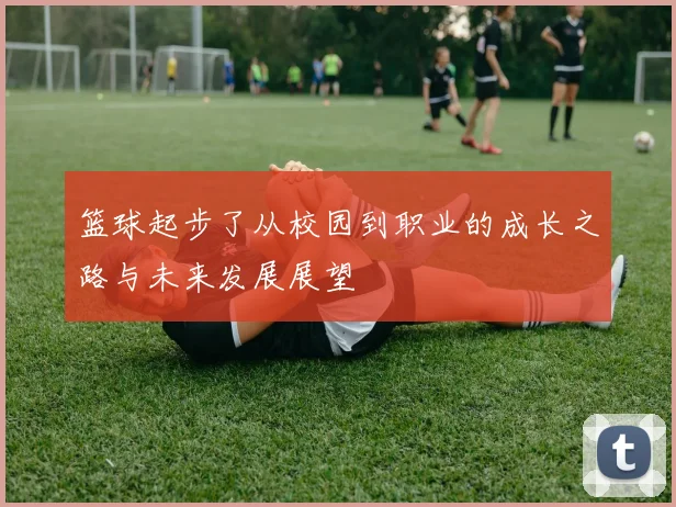 篮球起步了从校园到职业的成长之路与未来发展展望