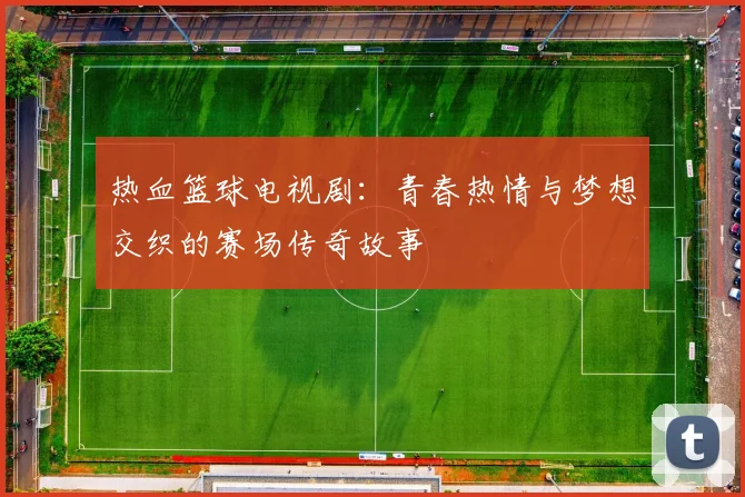 热血篮球电视剧：青春热情与梦想交织的赛场传奇故事