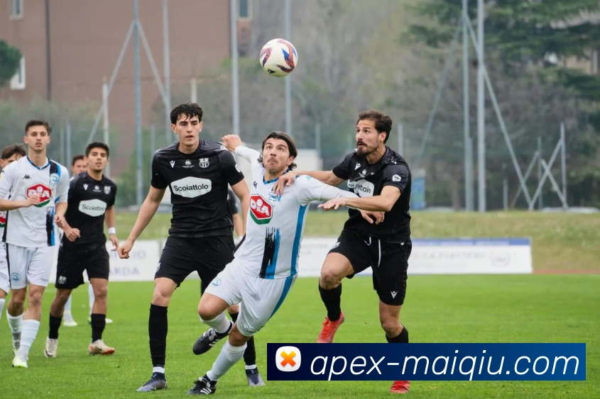 足球买球平台生态图